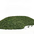 Natural Green Microtopography Landscape With Small Mound Covered In Lush Grass