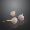 Three Spherical Plants With Slender Roots And Spotted Surface On Dark Smooth Background