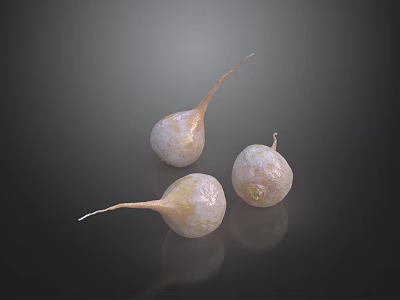 Three Spherical Plants With Slender Roots And Spotted Surface On Dark Smooth Background 3d model