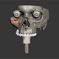 Human Skull Anatomical Structure 3D Model Showing Internal Organs and Hair