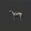 Gray and white horse with black mane and brown leather saddle standing 3d model