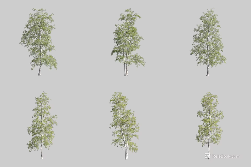 Six Different Arbor Trees Displaying Green Leaves And Various Natural Trunk Shapes 3d model 