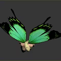 Green Winged Butterfly Fairy With Golden Hair And Elegant Green Outfit