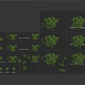 Neatly Arranged Landscape Tree Models On Black Platform With Various Sizes