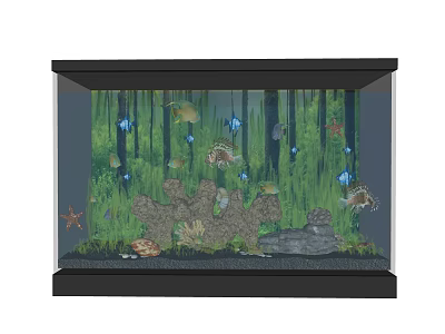 Beautiful Aquarium Fish Tank Setup With Colorful Fish Aquatic Plants And Rock Decorations 3d model