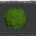 Spherical Green Bush With Lush Leafy Foliage In Round Shape Design