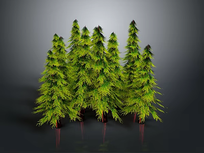 Multiple Green Evergreen Trees With Lush Foliage And Reflections On Gray Background 3d model