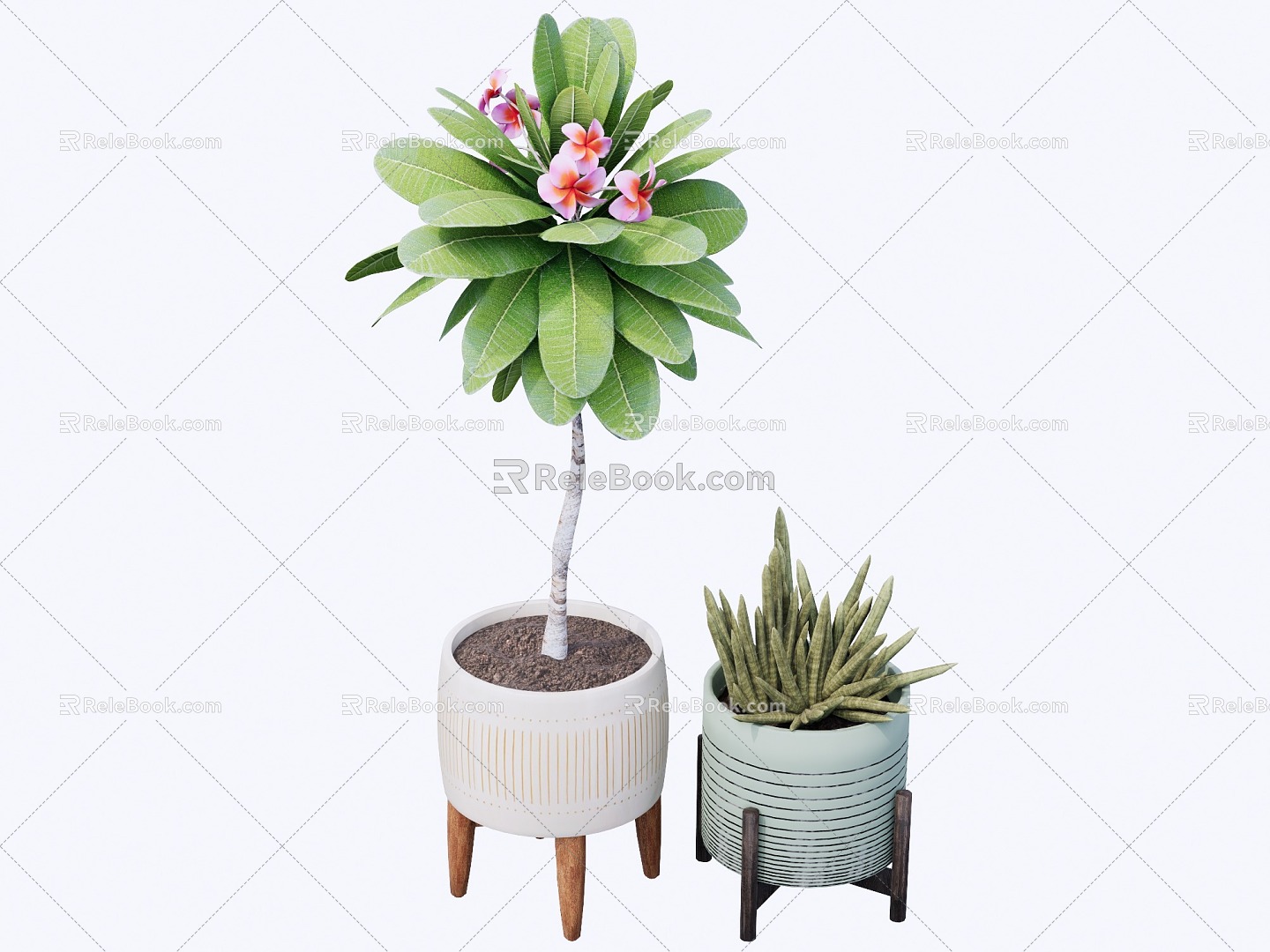 Modern indoor potted plants 3d model