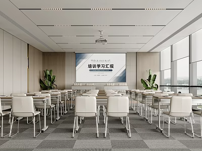Training Meeting Room Interior With Large Screen Tables Chairs And Plants 3d model