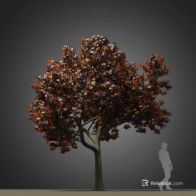 Tall Arbor With Red Brown Leaves And Human Silhouette For Size Reference 3d model 
