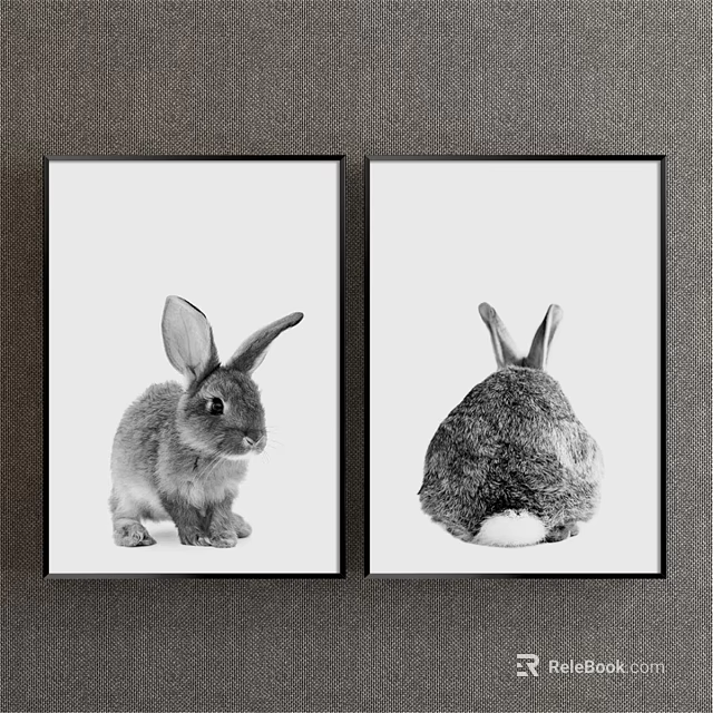 Black and White Rabbit Paintings with Front and Back Views in Framed Wall Art 3d model 