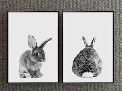 Black and White Rabbit Paintings with Front and Back Views in Framed Wall Art 3d model