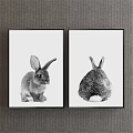 Black and White Rabbit Paintings with Front and Back Views in Framed Wall Art