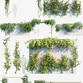 Climbing Vines Decorative Wall Design With Green Foliage And Natural Plant Look
