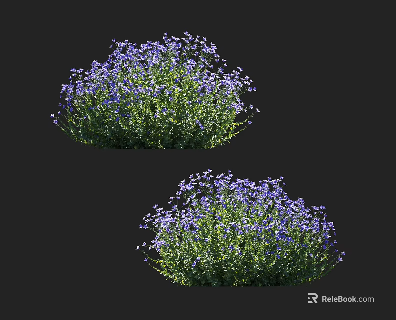 Two Lush Purple Flower Bushes With Green Leaves On Black Background 3d model 