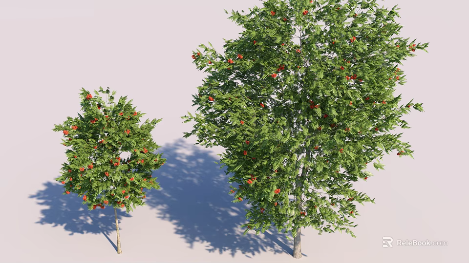 Two Arbor Trees with Green Leaves Red Fruits Different Sizes and Shadows 3d model 