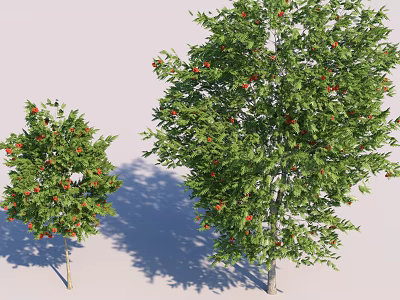 Two Arbor Trees with Green Leaves Red Fruits Different Sizes and Shadows 3d model