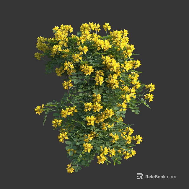 Lush Yellow Flowers With Green Leaves Growing In Dense Cluster 3d model 