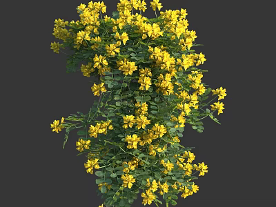 Lush Yellow Flowers With Green Leaves Growing In Dense Cluster 3d model