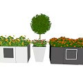 Stylish Flower Pots With Yellow Orange Flowers And Small Tree In Gray Black Design