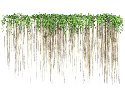 Lush Green Hanging Vines With Slender Stems And Fresh Leaves 3d model