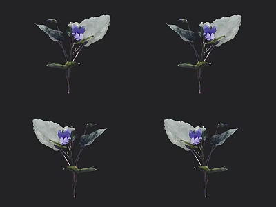 Vibrant Purple Flowers And Green Leaves Decorative Arrangement On Black Background 3d model