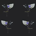 Vibrant Purple Flowers And Green Leaves Decorative Arrangement On Black Background
