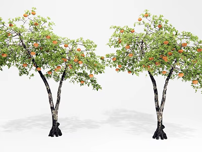 Healthy Fruit Bearing Trees With Orange Fruits Green Leaves And Dark Trunks 3d model