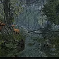 Beautiful Lush Tropical Rainforest Natural Scenery With Two Wild Spotted Deer Beside Calm Shallow Creek