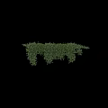 Decorative Vines with Lush Green Leaves and Hanging Trailing Foliage for Garden or Interior Decoration