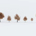 Autumn Tree Modern Tree 3d model