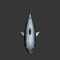Realistic Shark 3D Model With Blue Gray Color Fins And Detailed Texture On Dark Background