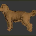 Realistic Brown Fluffy Plush Toy Dog With Curly Tail On Dark Background