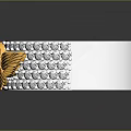 Stylish Silver Fashion Ring With Golden Wing Heart Emblem And Diamond Inlays