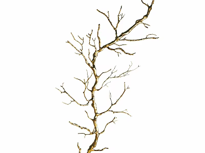 Golden Twig Shaped Wall Decor for Modern Home Interior Accent 3d model