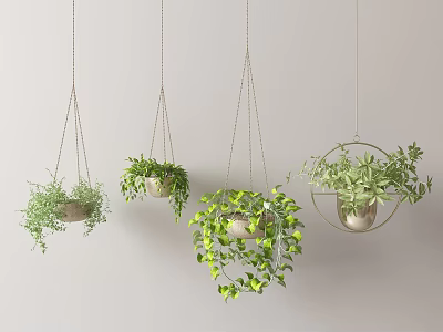 Lush Hanging Basket Plants With Trailing Green Leaves For Indoor Home Decoration 3d model