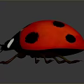 Ladybug With Red Back Black Spots Silver Head And Black Legs On Dark Reflective Surface