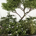 Lush Arbor With Green Foliage Stone And White Flowers In Garden