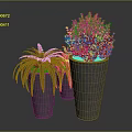 Lush Green Plants Arrangement With Fern And Bush In Gray Concrete Pots