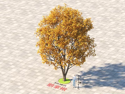 Autumn Arbor With Yellow Leaves Green Circular Base On Gray Brick Ground And Measuring Figure 3d model