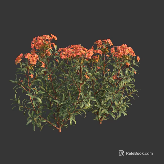 Vibrant Orange Flowers With Lush Green Leaves In Bushy Garden Plants 3d model 