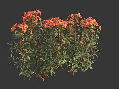 Vibrant Orange Flowers With Lush Green Leaves In Bushy Garden Plants 3d model
