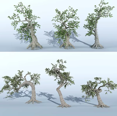 Arbor Trees Displaying Various Forms Twisted Branches Exposed Roots And Green Leaves 3d model
