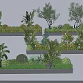 Plant Combination With Various Plants Shrubs Trees And Stones In Rectangular Planters
