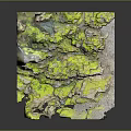Natural Stone Landscape With Green Moss Covered Rocks And Small Water Streams