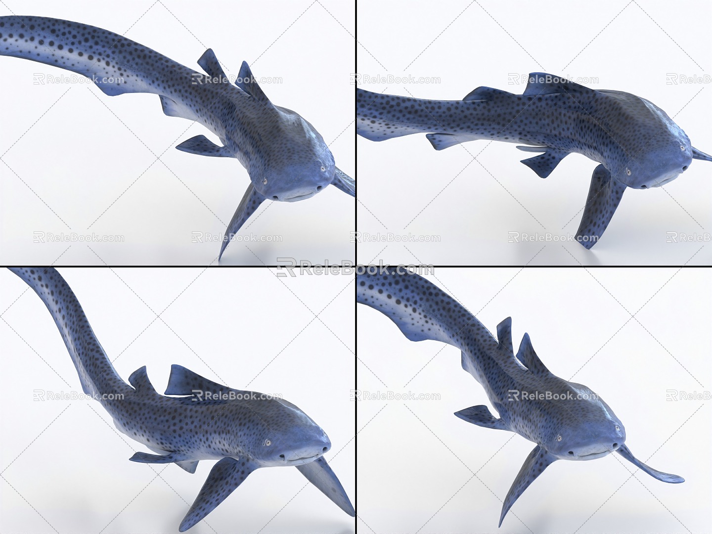 Zebra Shark with Bound and Animated Leopard Shark 3d model