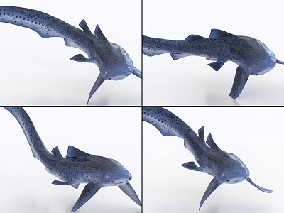 Spotted Aquatic Animal 3D Model With Long Tail Fin Details Viewed From Multiple Angles 3d model