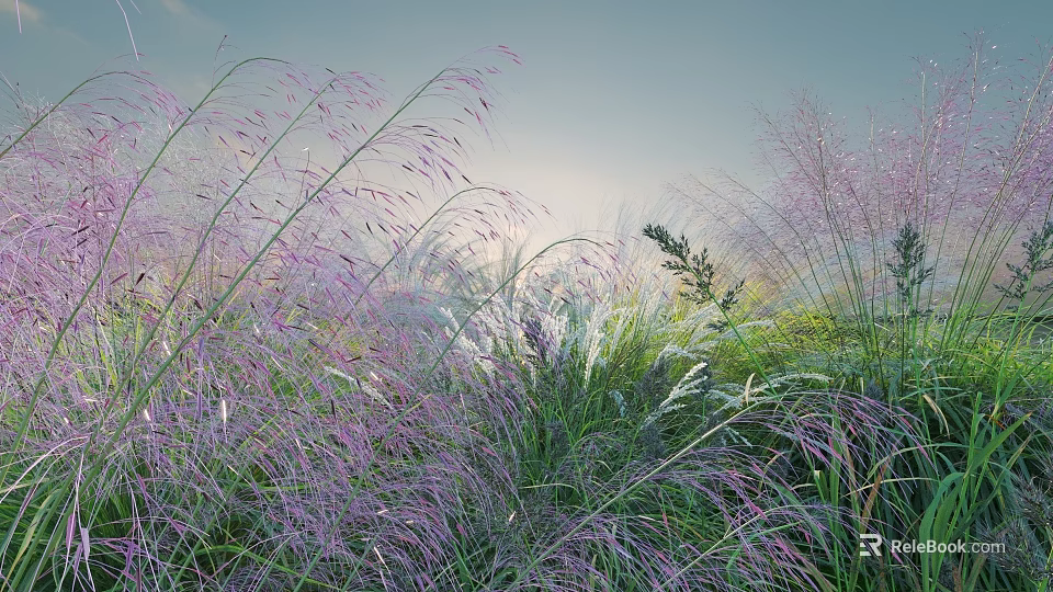Lush Shrubs With Purple And Green Grass In Sunlit Natural Outdoor Setting 3d model 