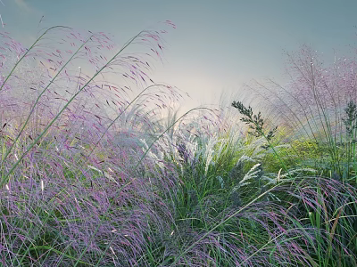 Lush Shrubs With Purple And Green Grass In Sunlit Natural Outdoor Setting 3d model