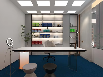 Modern Office Interior With Blue Carpet White Desk Chair Bookshelf And Green Plant 3d model